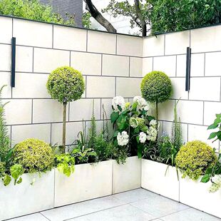 ���Rֲ������Ůؑ���@�쾰ͥԺ�OӋ�ļ������̨�e�������ͺ�����