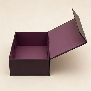 ����һƬʽ�ۯB�Y�д������w�ۯB��һ�w����Ӳ�и߼��Е��κ�