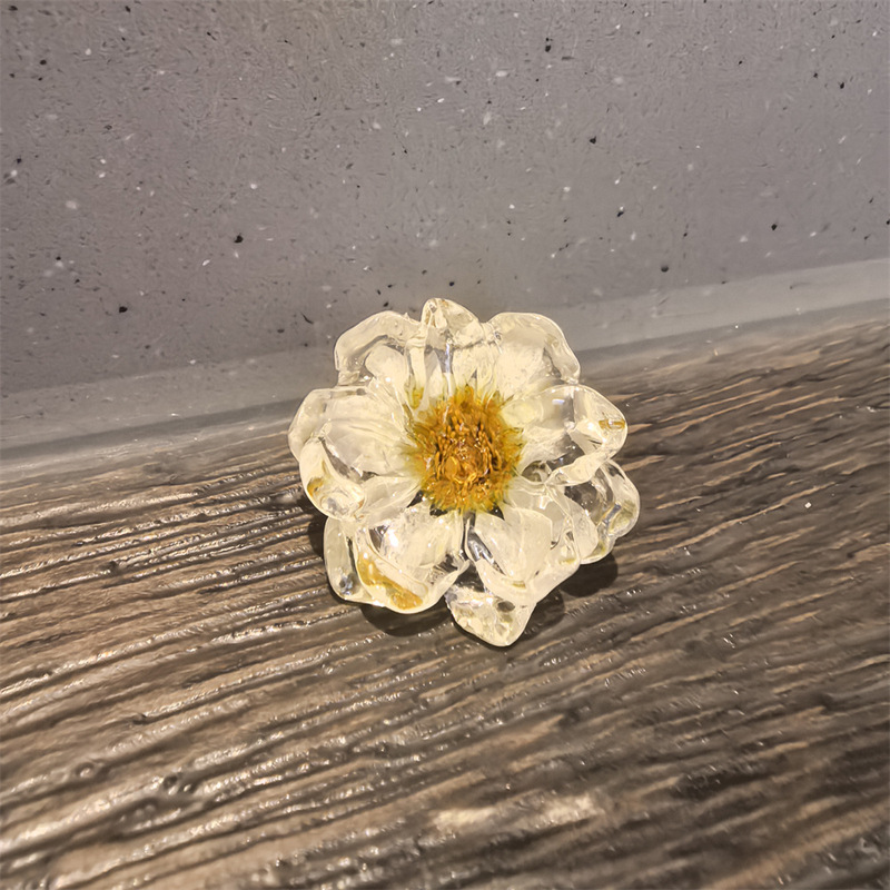 美拉德MIU系鞋花高级感串珠后跟链豹纹蕾丝蝴蝶结鞋带扣德训装饰|undefined