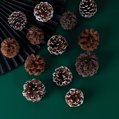 天然復古原色松球拍照攝影擺件塗白松果節日裝飾背景道具