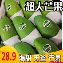 越南大青芒芒果10斤应季新鲜水果热带青皮金煌芒孕妇进口包邮