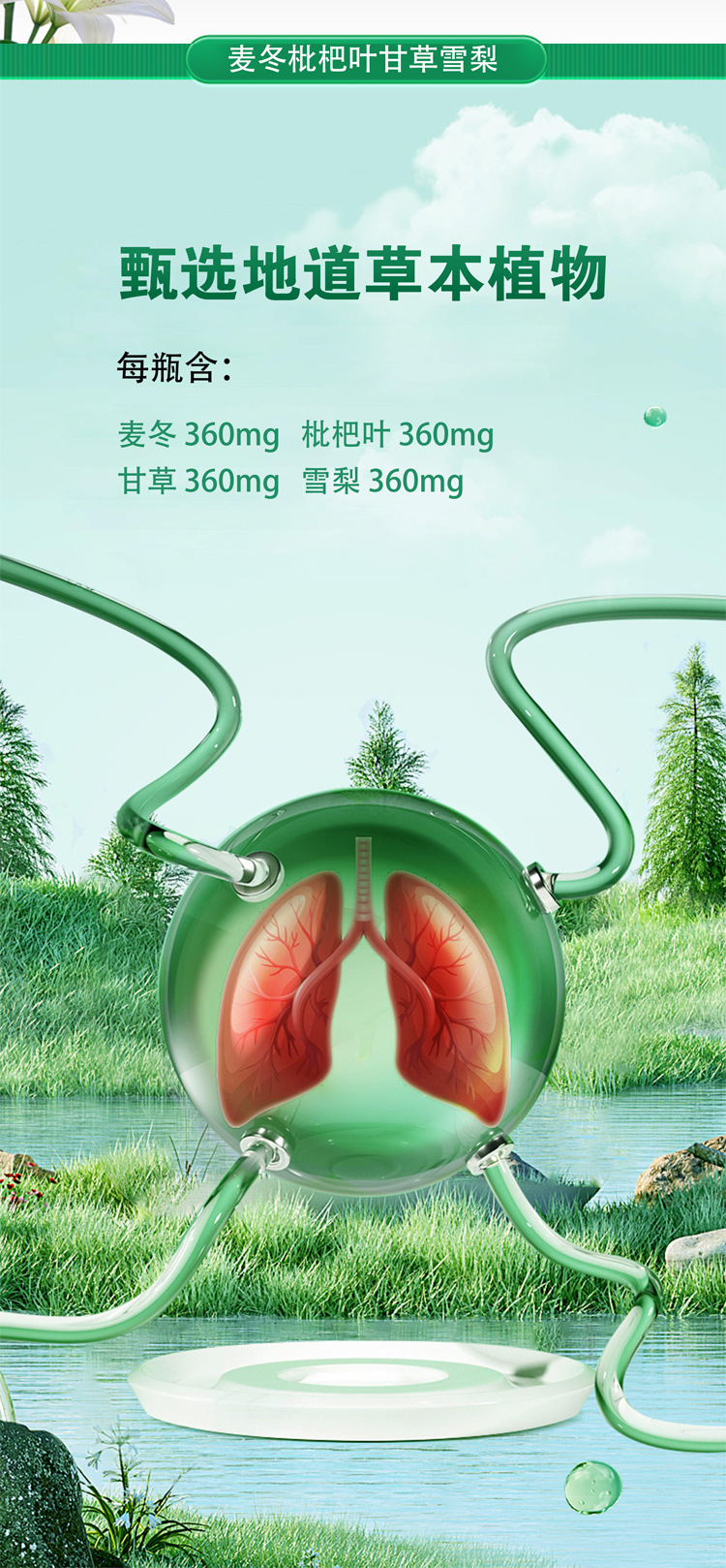 Ophiopogon Loquat Leaf Licorice Snow Pear Tablets Mai Dong Pi Pa Ye Gan Cao 36g Herbal Chewable Tablets quality and texture