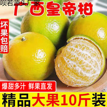 �V�̴��10�����rˮ�����������۽۸��ٽ���������5��