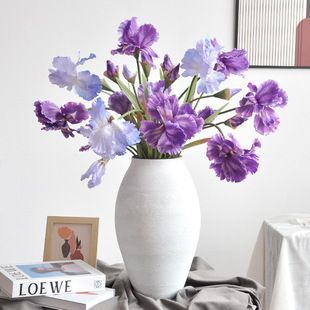 �����z�Sβ������͏d�Ҿ�ܛ�b��c�zӰ���񻨷��滨3�^���Sβ��