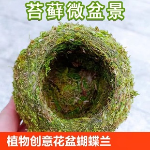 ̦�\�� �ձ�̦�� ��̦�� ���ԑ��˻��� �������� ΢���^ �S��ֱ�N