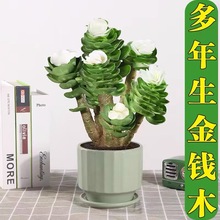 ���Xľ���� �Ϙ�����ֲ�� �҃ȿ͏d������ؔС���X���辰�Gֲ���B