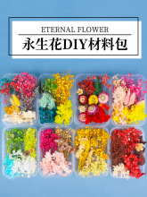 天然干花永生花假花花儿童手工diy幼儿园自制团扇贴画材料包