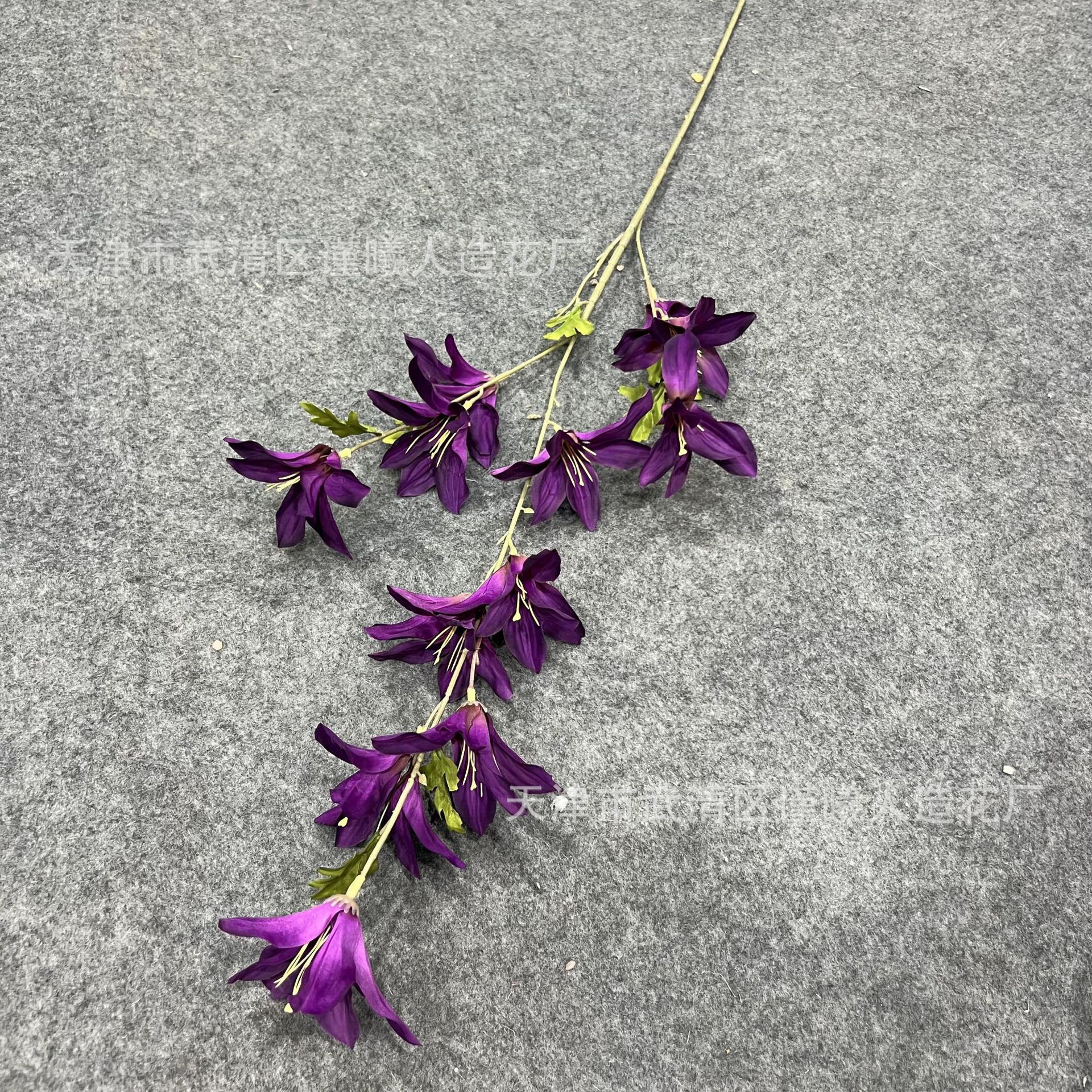 2022_08_27_09_50_IMG_6676