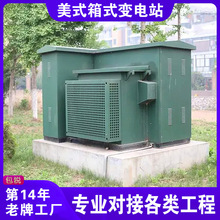 ZGS11-200kva/10kv箱式变电站 美式紧凑型箱变 箱式变压器