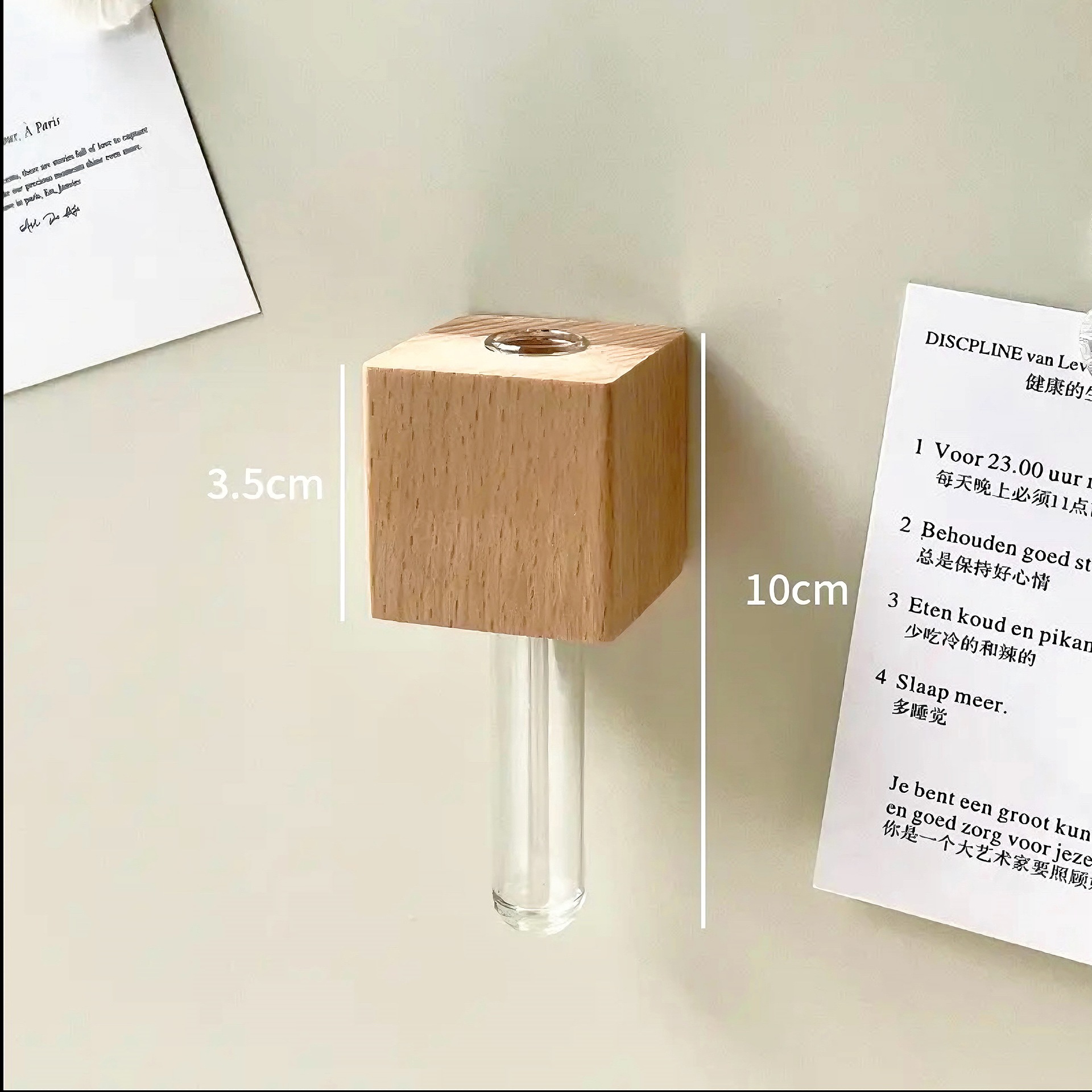 너도밤나무 [소형] 냉장고 자석 꽃꽂이 장식품