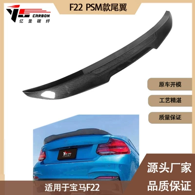 Fixed wind wing F22 PSM Carbon Fiber Tail