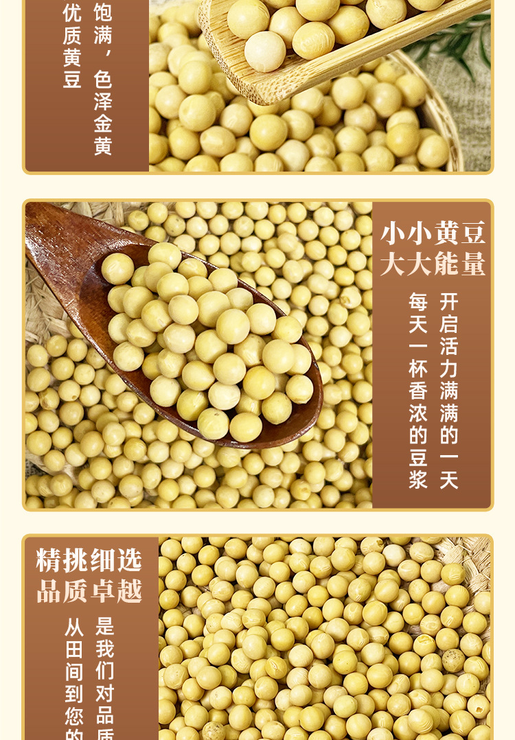 黄豆详情页_05