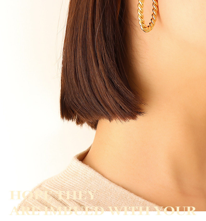 Ins Style Jewelry Geometric Niche Design U-shaped Fried Dough Twists Earrings Stainless Steel Earrings_voghion.com