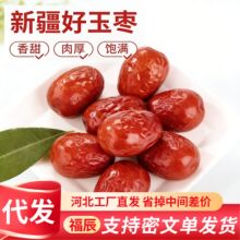 �½������t��ˮϴ���������l���b �����E�����½���t��