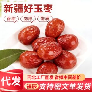 �½������t��ˮϴ���������l���b �����E�����½���t��