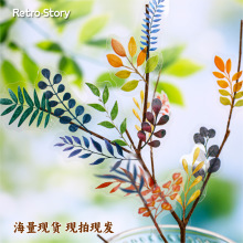 RetroStory����ϵ��PET�N��֦�~���L���}30����6������~�b��N