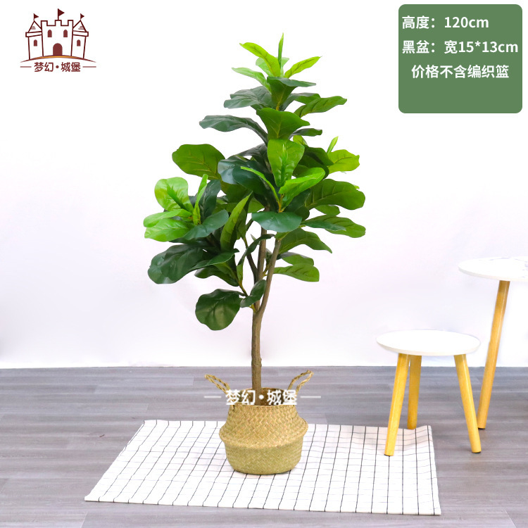 Simulación de plantación verde de plátano de bambú de tortuga grande planta de plantación de ventana interior diseño de ángulo de planta de árbol falso paisajístico