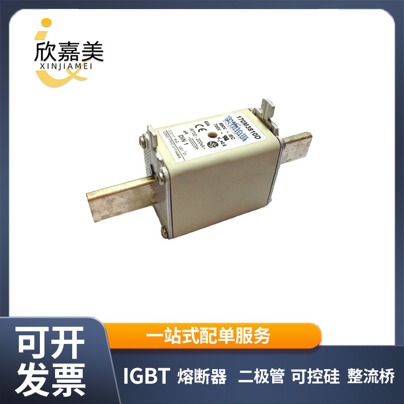 170M3810D 170M3811 170M3811D全新快速熔断器电子元器件现货直发