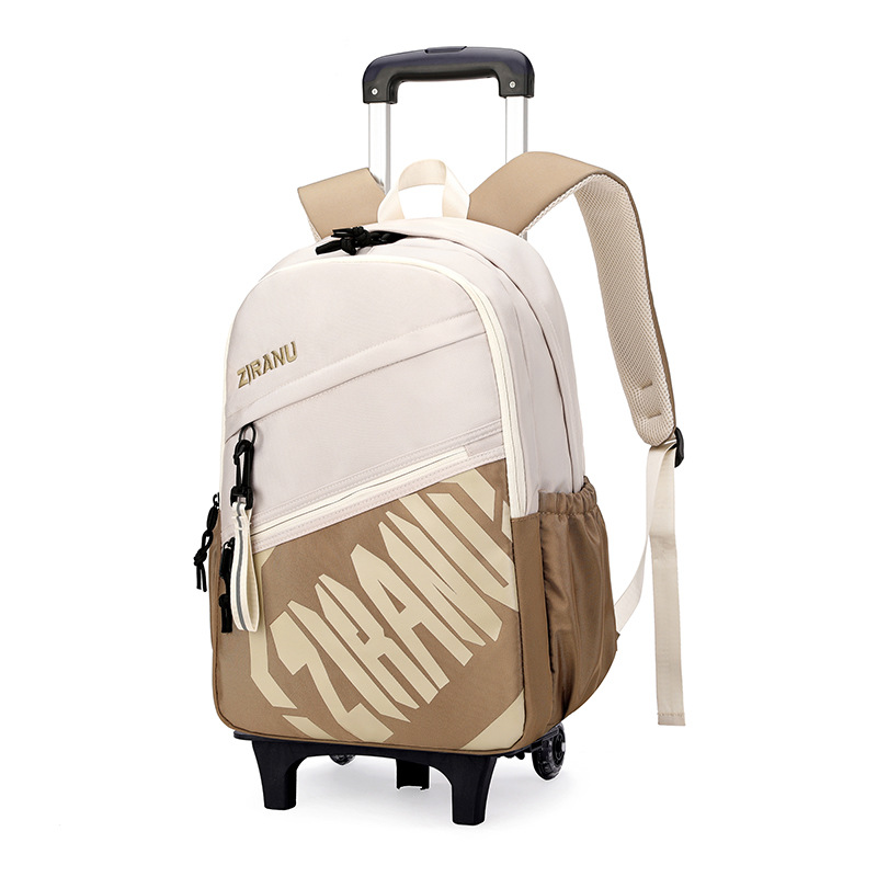 Mochila de pescado natural para niños de grado 3 - 6 con ruedas para subir escaleras, mochila de secundaria secundaria