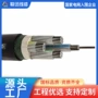沈阳定制电力多芯铝电缆
