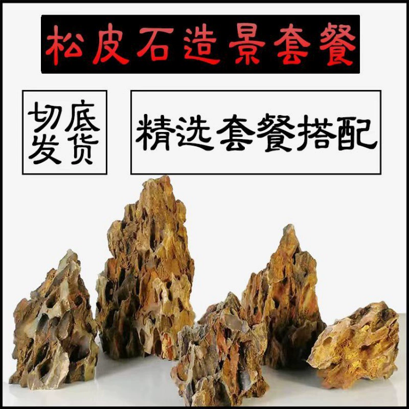 Sansui, aquarium, skeleton, set, wholesale, Amazon