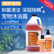 �`�����ﹷ؈��ϴ����ԡ¶ԡҺ�㲨��Ͱ3.8L̩�ϱ��ܽ�ë