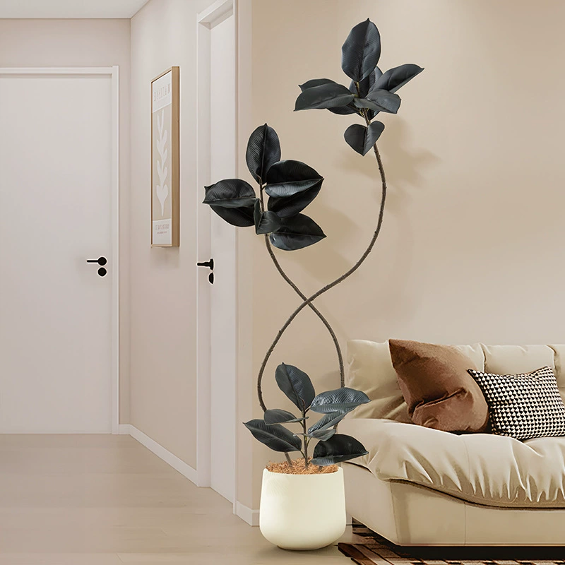 Растительные украшения гостиная зеленая посадка диван, посадка в горшке, посадка, черный Кинг-Конг, комнатное искусное дерево, большое резиновое дерево