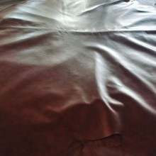 ��ɫˤ�DƤ��ţ��ܛƤɳ�l�w�����ļ�ͨ����Ȼ˦�y����ˮţ�^��Ƥ