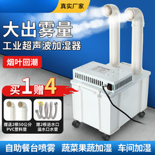 IӝôF܇gBֳr߲˟~سC