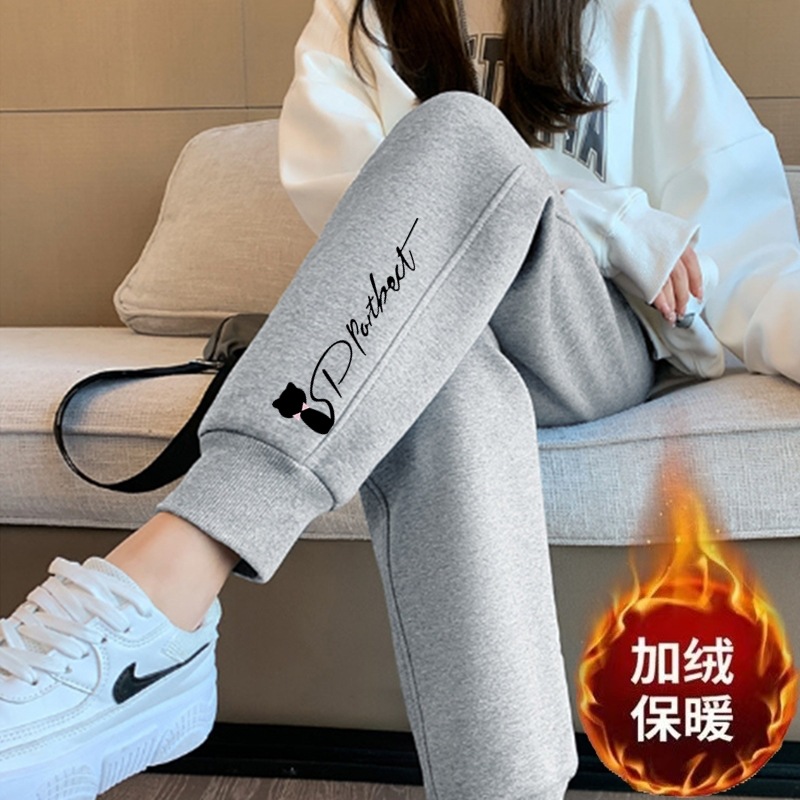 작은 검은 고양이 나사 입 회색 바지와 벨벳