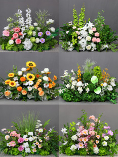 ��Y�����b��滨T̨·�����ٻ���Ʒ��ˇ��c���Ż�ɭϵ����