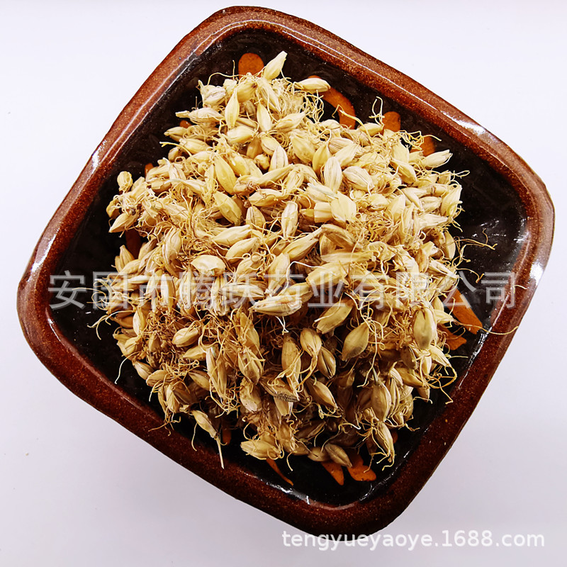 Dried Malt Barley Sprout Mai Ya 1kg Bag Raw Herb for Decoction and Culinary Use quality and texture