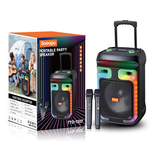 Handheld lightweight speakers, 12 inch, bluetooth