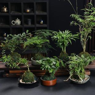 ̦�\��Gֲ��������ˮ���辰�҃������^�p�������ԾGֲ�Gֲ