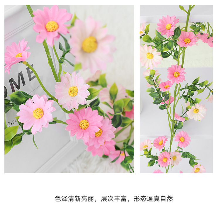 小雏菊---副本_18.jpg