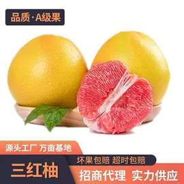 饼干;面筋制品;传统糕点