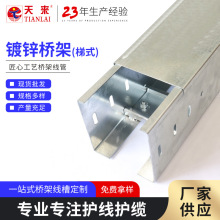 \ܶ|ܘܲP͸ߜηǘ˽٘