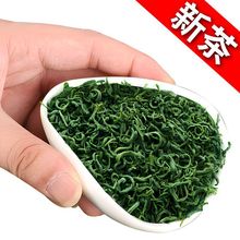 信阳毛尖绿茶叶2023新茶高山明前云雾茶浓香型耐泡散装茶春茶包邮