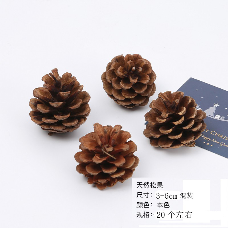 Flor de pino natural flores perpetuas de algodón flores secas árbol de navidad decoración accesorios ramo de navidad hechos a mano DIY material paquete