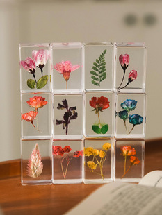 �s���ֹ����������z�ɻ��˱���֬�[���Ҿ��Ʒ��Ů�����նY��