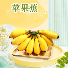 广西苹果蕉 代发2/3/5/9斤品质好自然熟酸甜好口感粉蕉芭新鲜水果