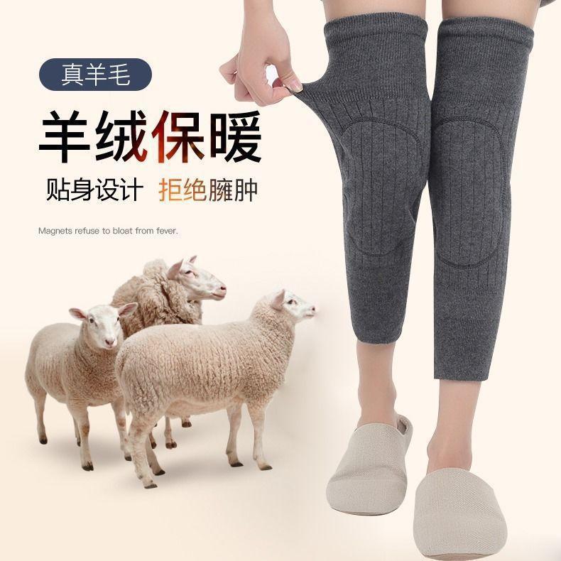 i2idjvmmydSNv11IL5NTeUG2cohhwcTcZjnu