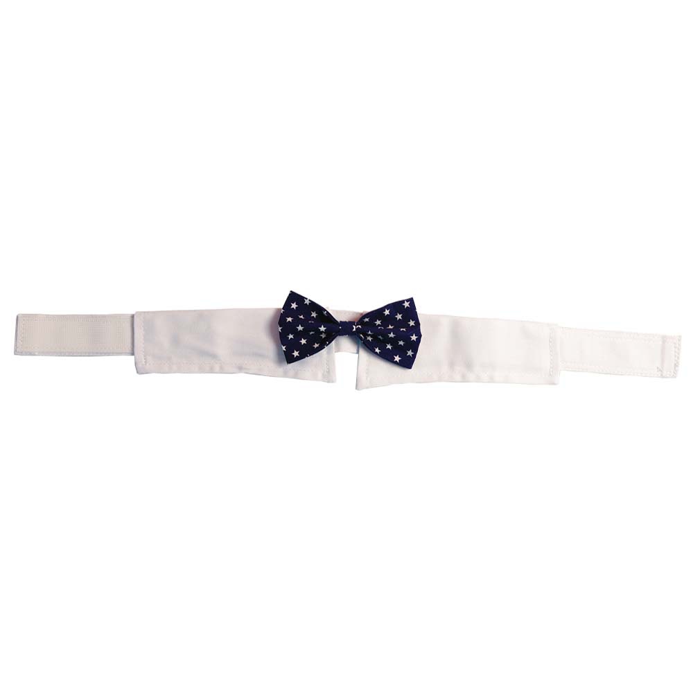 TANPOPO spot transfronterizo nuevos productos pentagonal guapo perro corbata velcro ajustable corbata de mascotas