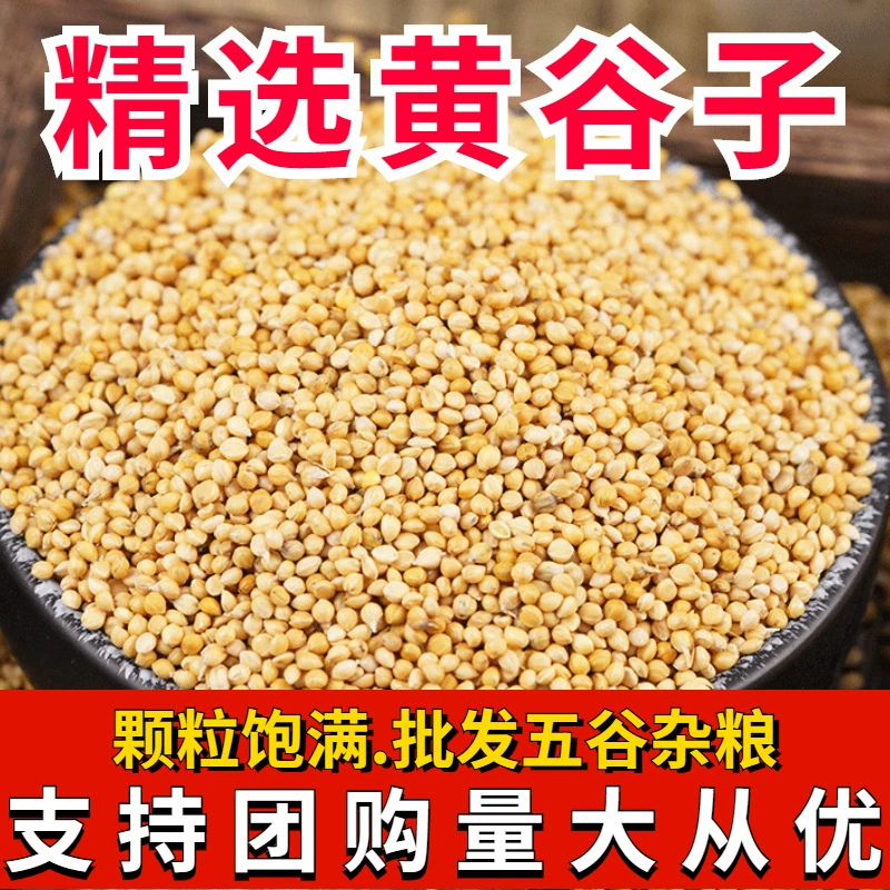 2023 Новый Желтый Просо из тигровой кожи Xuanfeng пион пищевое зерно мелкий и средний корм для попугаев Птичье зерно просо из раковины