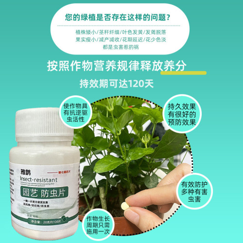 家庭园艺蔬菜防虫片防小黑飞蚜虫白粉虱小菜蛾飞虫家用糖化硼肥片