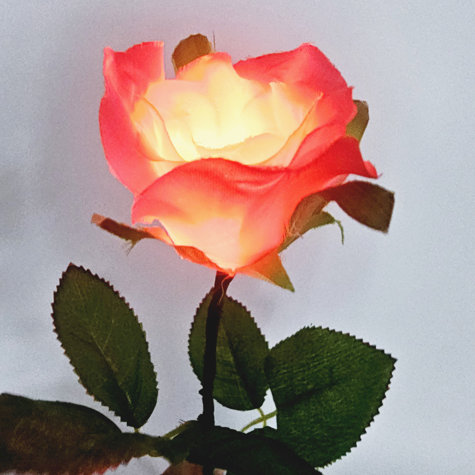 G0417.jpg