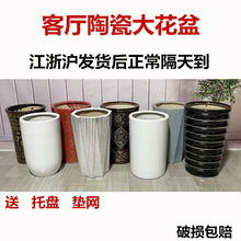 �մɻ���������l�ڰ�ɫ��Ͳ�ݼy�ش�̖ɢβ�����Pβ�ɽ��X����l