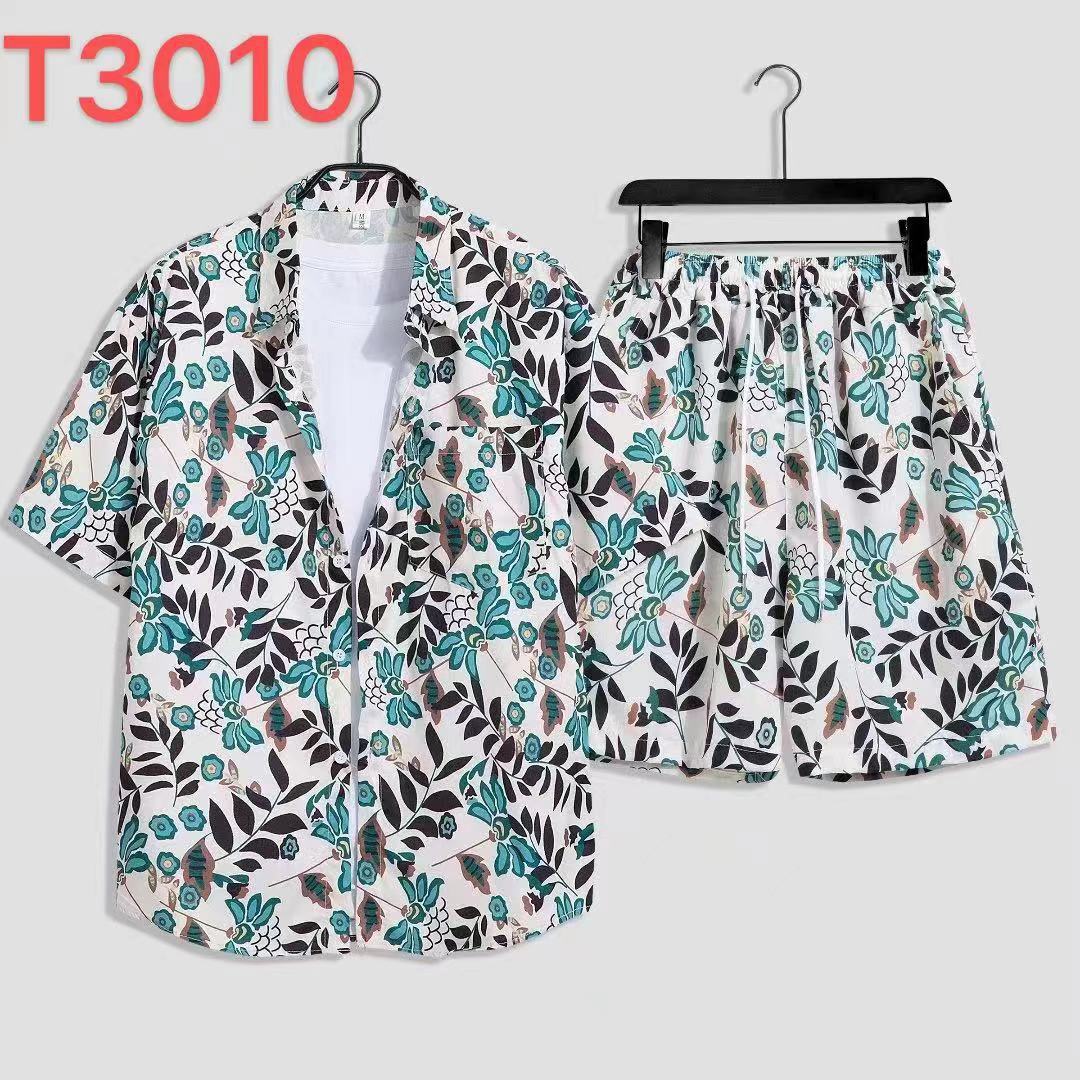 T3010