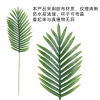 Nordic style simulation artificial palm leaf hotel wedding soft outfit leaves plant wall flower arrangement decorative loose tail sunflower tree