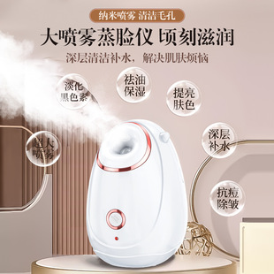 Selected Facial Spray Hydration Device, Small Moisturizing and Rejuvenating Facial Steamer, Home Beauty Device, Nano Hot Spray Facial Steamer